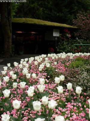 һ¹ۿͼƬ
 ============== 
㣨ˣ
5Buchart Garden 
ؼ:   5    Buchart Garden