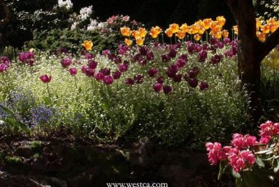 һ¹ۿͼƬ
 ============== 
㣨ģ
5¸绪Buchart Garden 黨԰
ؼ:   5    Buchart Garden