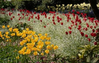 һ¹ۿͼƬ
 ============== 
㣨һ
5¸绪Buchart Garden 黨԰
ؼ:   5    Buchart Garden