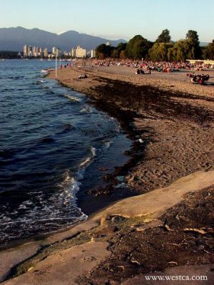 һ^DƬ
 ============== 
Kitsilano Beach
8z출 Kitsilano
PI:   8  Kitsilano
