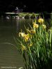 Resize of Resize of center park lake-2.JPG